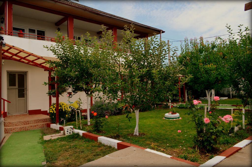 Hotel Casa Gia Costinesti Zewnętrze zdjęcie