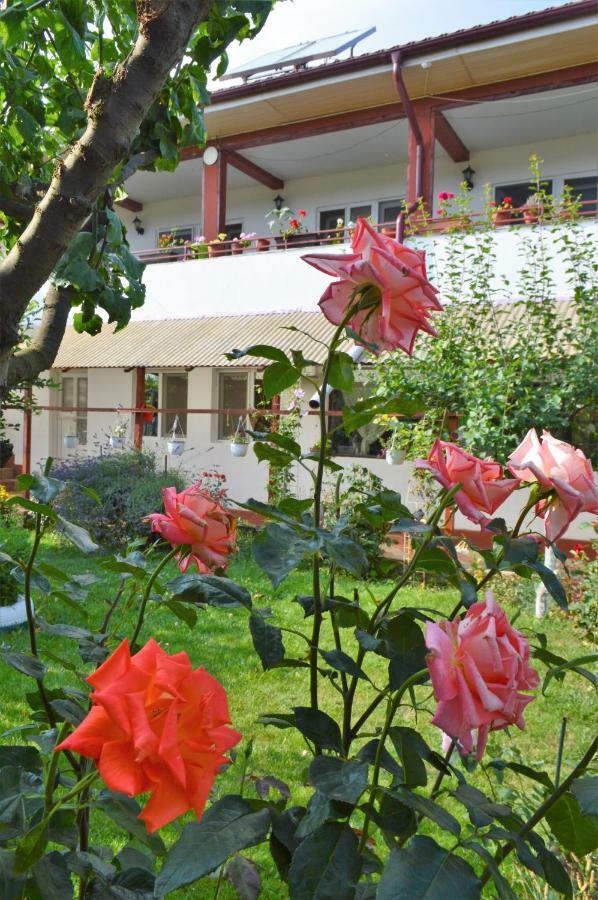 Hotel Casa Gia Costinesti Zewnętrze zdjęcie