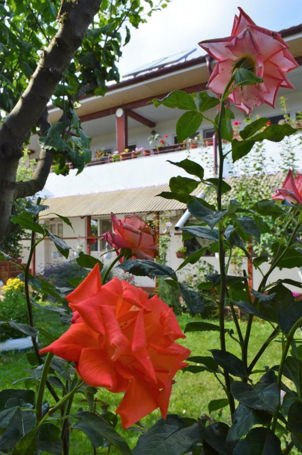 Hotel Casa Gia Costinesti Zewnętrze zdjęcie